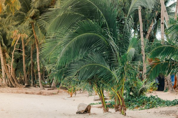 Discover iconic uk destinations to experience the authentic legacy of post-war british architecture