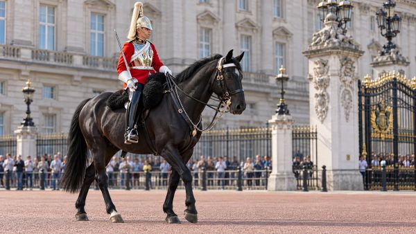 What you need to know about royal news from England